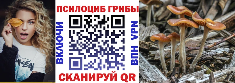 купить наркотик  Кирово-Чепецк  Псилоцибиновые грибы ЛСД 